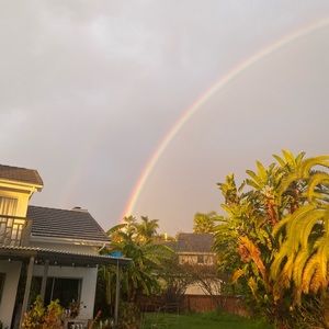 Meet your Posher, Rose